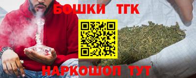 тгк Шелехов